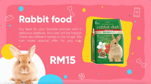 可爱萌宠食品展示视频制作 (模板) Cute Pet Food Product Showcase Video Production (Template)